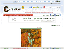 Tablet Screenshot of amitayelet.cafe.mouse.co.il